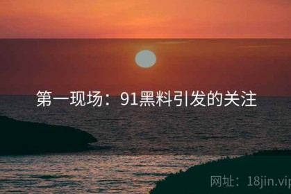 第一现场：91黑料引发的关注