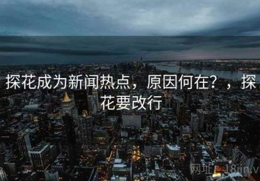 探花成为新闻热点,原因何在?,探花要改行 探花成为新闻热点,原因何在?,探花要改行