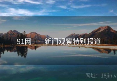 91网——新闻观察特别报道