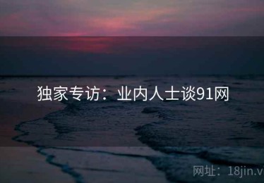 独家专访:业内人士谈91网 独家专访:业内人士谈91网
