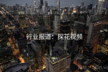 行业报道：探花视频