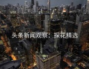 头条新闻观察：探花精选