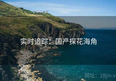 实时追踪:国产探花海角 实时追踪:国产探花海角