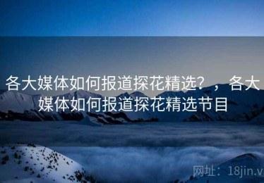 各大媒体如何报道探花精选?,各大媒体如何报道探花精选节目 各大媒体如何报道探花精选?,各大媒体如何报道探花精选节目