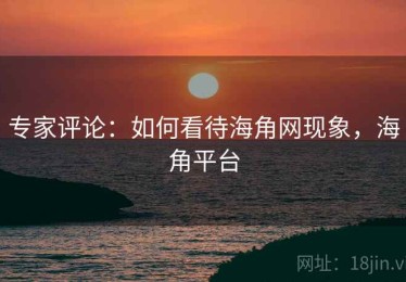 专家评论:如何看待海角网现象,海角平台 专家评论:如何看待海角网现象,海角平台