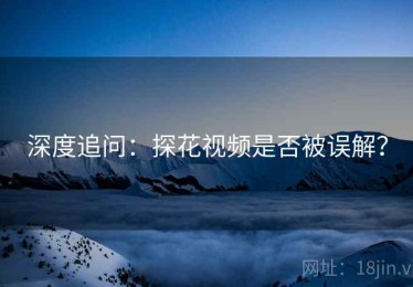 深度追问:探花视频是否被误解? 深度追问:探花视频是否被误解?