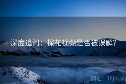 深度追问：探花视频是否被误解？