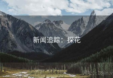 新闻追踪:探花 新闻追踪:探花