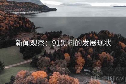 新闻观察：91黑料的发展现状