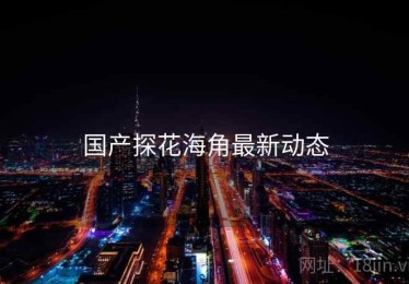 国产探花海角最新动态 国产探花海角最新动态