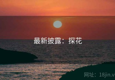 最新披露:探花 最新披露:探花