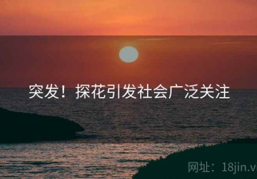 突发!探花引发社会广泛关注 突发!探花引发社会广泛关注