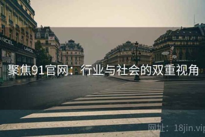 聚焦91官网：行业与社会的双重视角