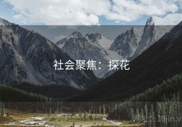 社会聚焦:探花 社会聚焦:探花