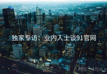 独家专访:业内人士谈91官网 独家专访:业内人士谈91官网