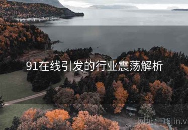 91在线引发的行业震荡解析 91在线引发的行业震荡解析