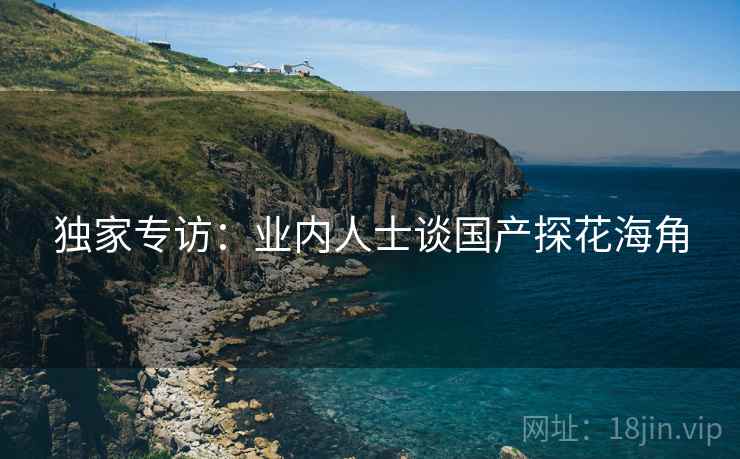 独家专访:业内人士谈国产探花海角 独家专访:业内人士谈国产探花海角