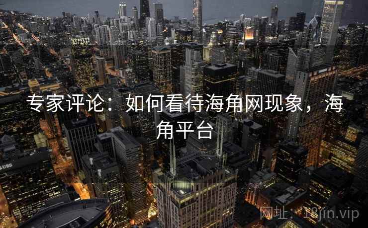 专家评论:如何看待海角网现象,海角平台 专家评论:如何看待海角网现象,海角平台