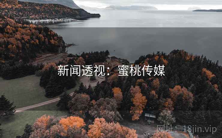 新闻透视:蜜桃传媒 新闻透视:蜜桃传媒
