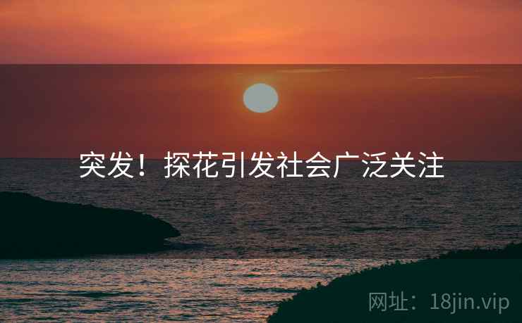 突发!探花引发社会广泛关注 突发!探花引发社会广泛关注