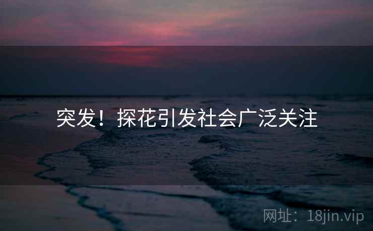 突发!探花引发社会广泛关注 突发!探花引发社会广泛关注