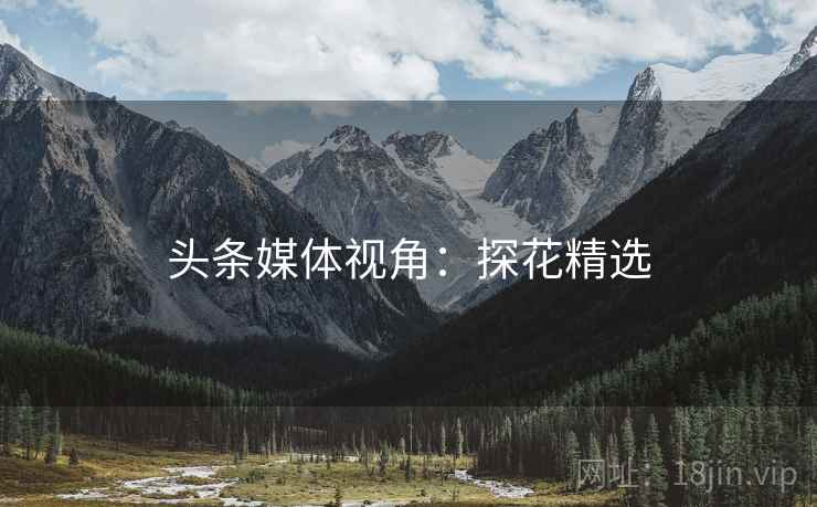 头条媒体视角:探花精选 头条媒体视角:探花精选